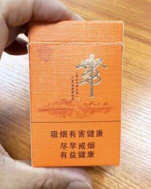 真龙(一带山河)