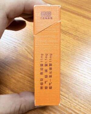 真龙(一带山河)