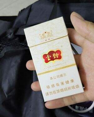 云烟(云龙细支)