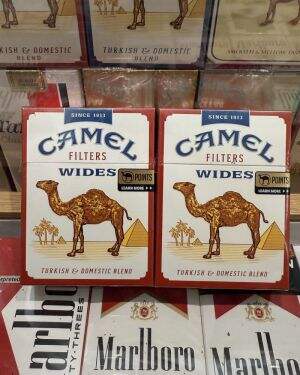 骆驼(硬红肥仔美税版)