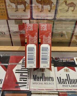 骆驼(硬红肥仔美税版)