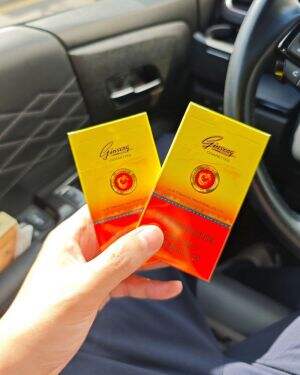 长白山(老人参细支)