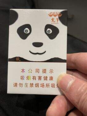 娇子(宽窄国宝)