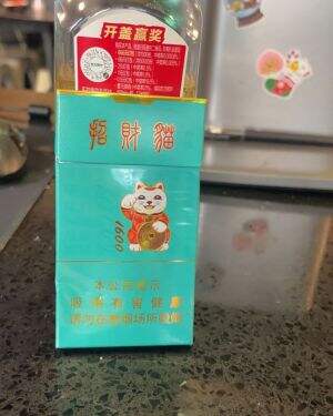 好猫(招财猫1600亲情版)