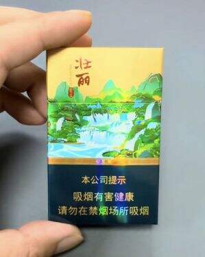 真龙(壮丽崇左)