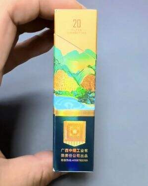 真龙(壮丽崇左)