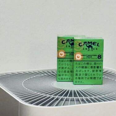 骆驼(雪梨爆珠8mg日版)