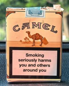 骆驼(无嘴欧盟版)