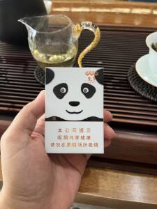 娇子(宽窄国宝)