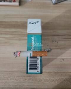 新港(绿卡塔尔版)