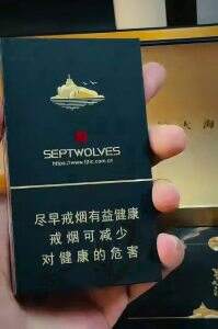 七匹狼(星辰大海双细支)