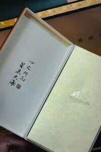 七匹狼(星辰大海双细支)