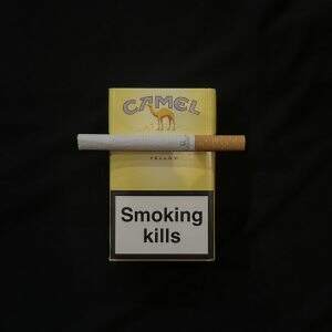 骆驼(硬黄欧盟版)