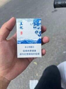 真龙(江山如画)