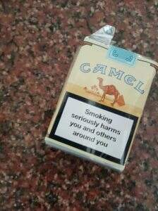 骆驼(无嘴欧盟版)