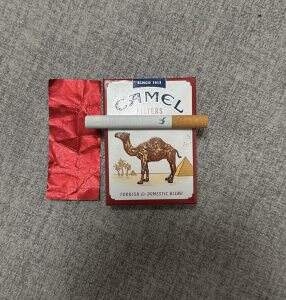 骆驼(硬红肥仔美税版)