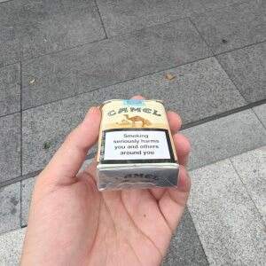 骆驼(无嘴欧盟版)