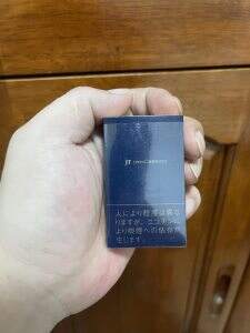 和平(日本无嘴输出版)