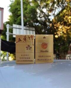 双喜(金尊五叶神)