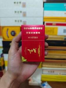 七匹狼(古田新光芒)