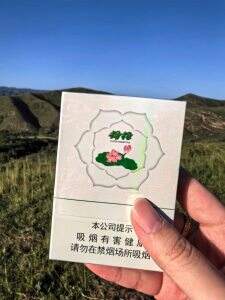 钻石(双中支荷花)