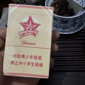 延安(青春岁月新版)