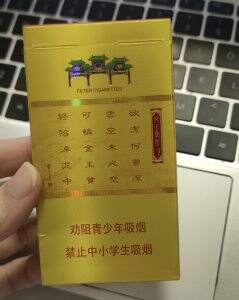 南京(金陵十二钗烤烟)