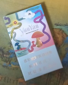 云烟(灵感蘑菇)