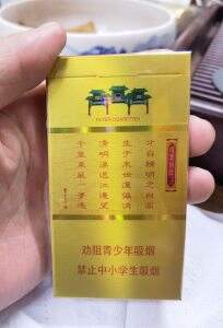 南京(金陵十二钗烤烟)