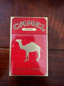 骆驼(皇家硬红)