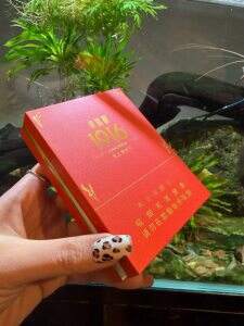 黄鹤楼(雪之梦10号)