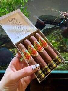 黄鹤楼(雪之梦10号)