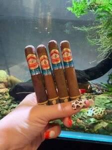 黄鹤楼(雪之梦10号)