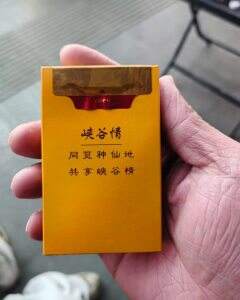 黄鹤楼(峡谷情)