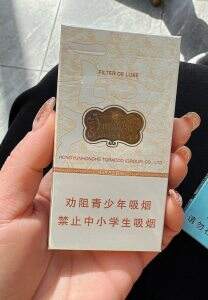 云烟(云龙细支)