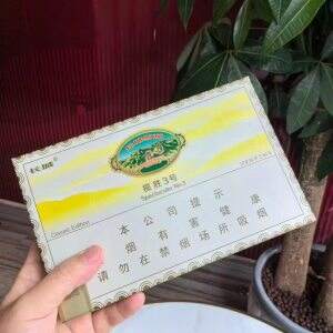 长城(揽胜3号经典)