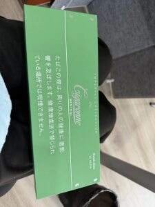 卡比龙(总裁抹茶绿日版)