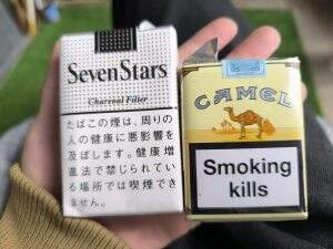 骆驼(无嘴中南半岛免税)