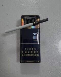 大华(黄金眼中支)