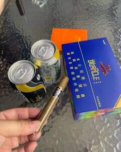 长城(盛世奇迹40周年)