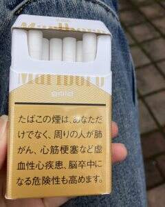 万宝路(硬白金新日版)