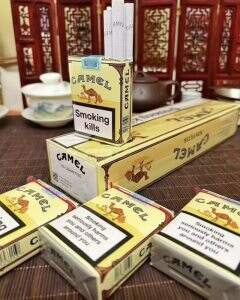 骆驼(无嘴欧盟版)