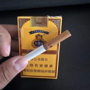 云烟(软大重九)