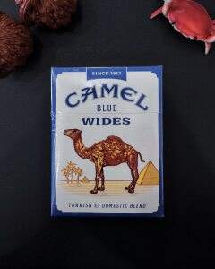 骆驼(硬蓝肥仔美税版)