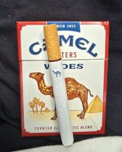 骆驼(硬红肥仔美税版)