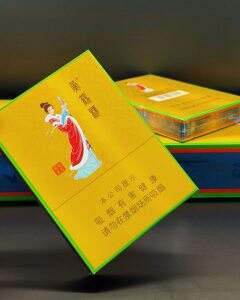 黄鹤楼(昭君故里)