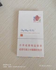 冬虫夏草(和润)