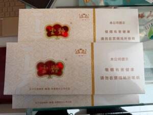 云烟(云龙细支)