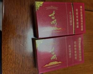 七匹狼(古田新光芒)