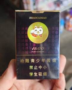 好猫(招财进宝1600)